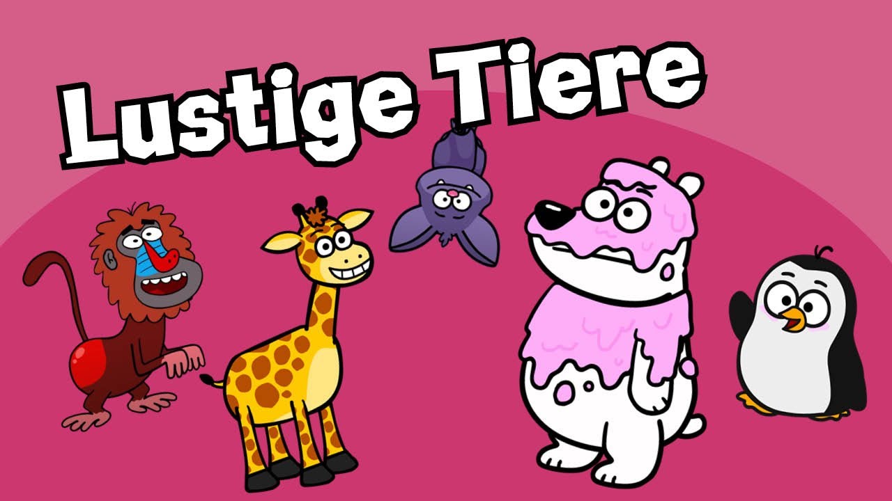 ♪♪ Die 5 Besten Tierlieder | Hurra Kinderlieder Compilation | Lustige Tiere - Pinguin Eisbär Pavian