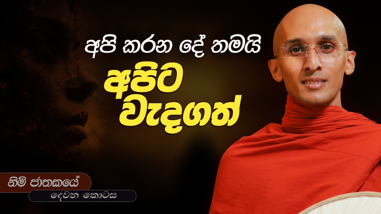 360. අපි කරන දේමයි අපිට වැදගත්...! | නිමි ජාතකය | 2024-06-01