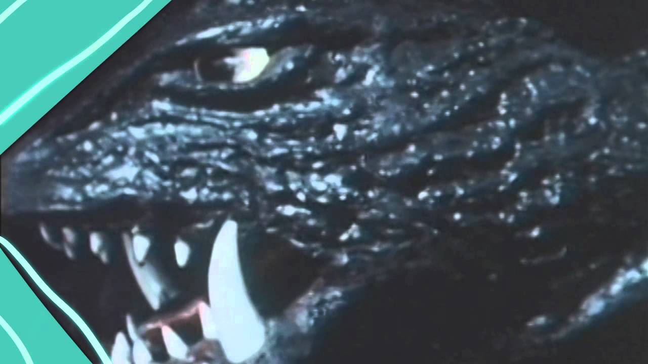 REGURGITATOR - NO SHOW (Official)