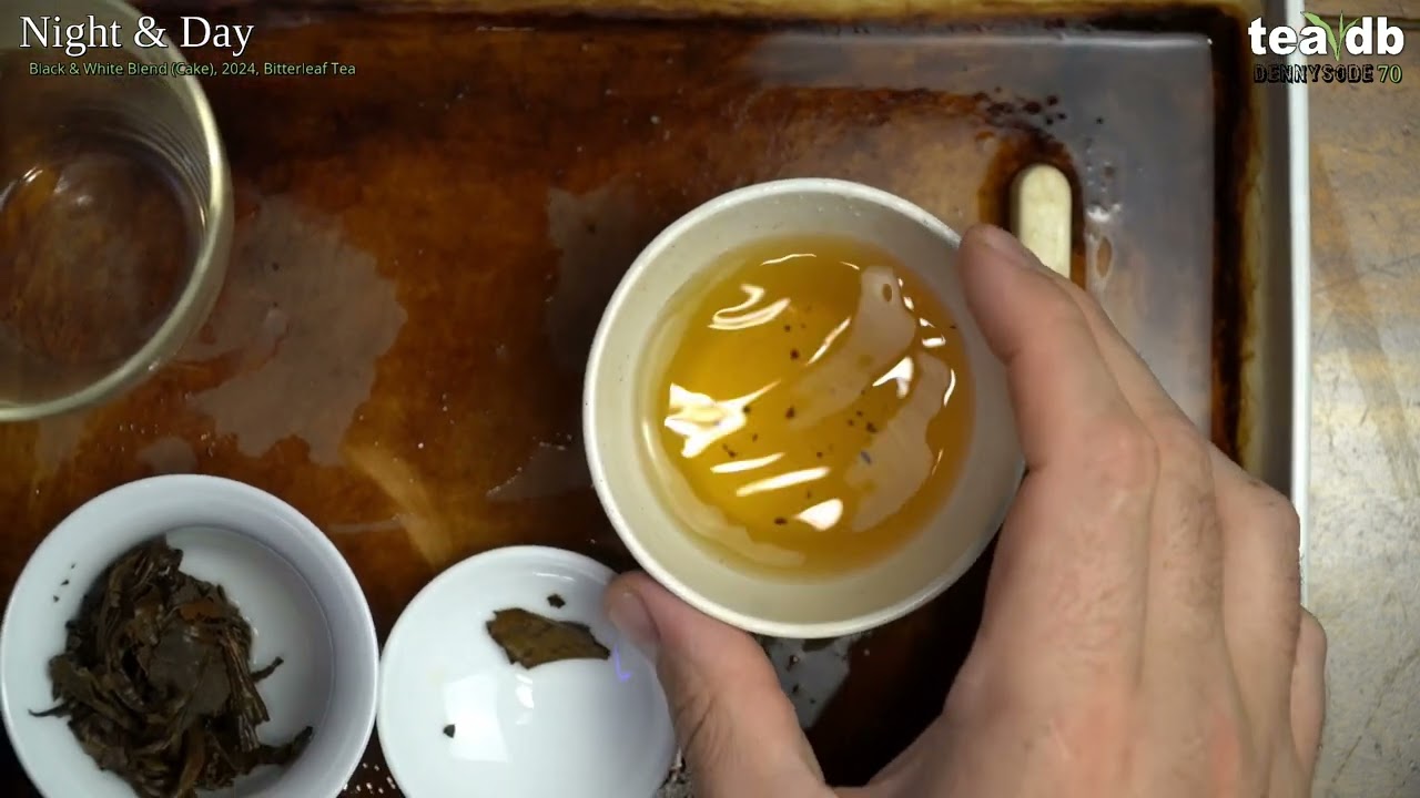 Night & Day by Bitterleaf Tea [Dennysodes #70]