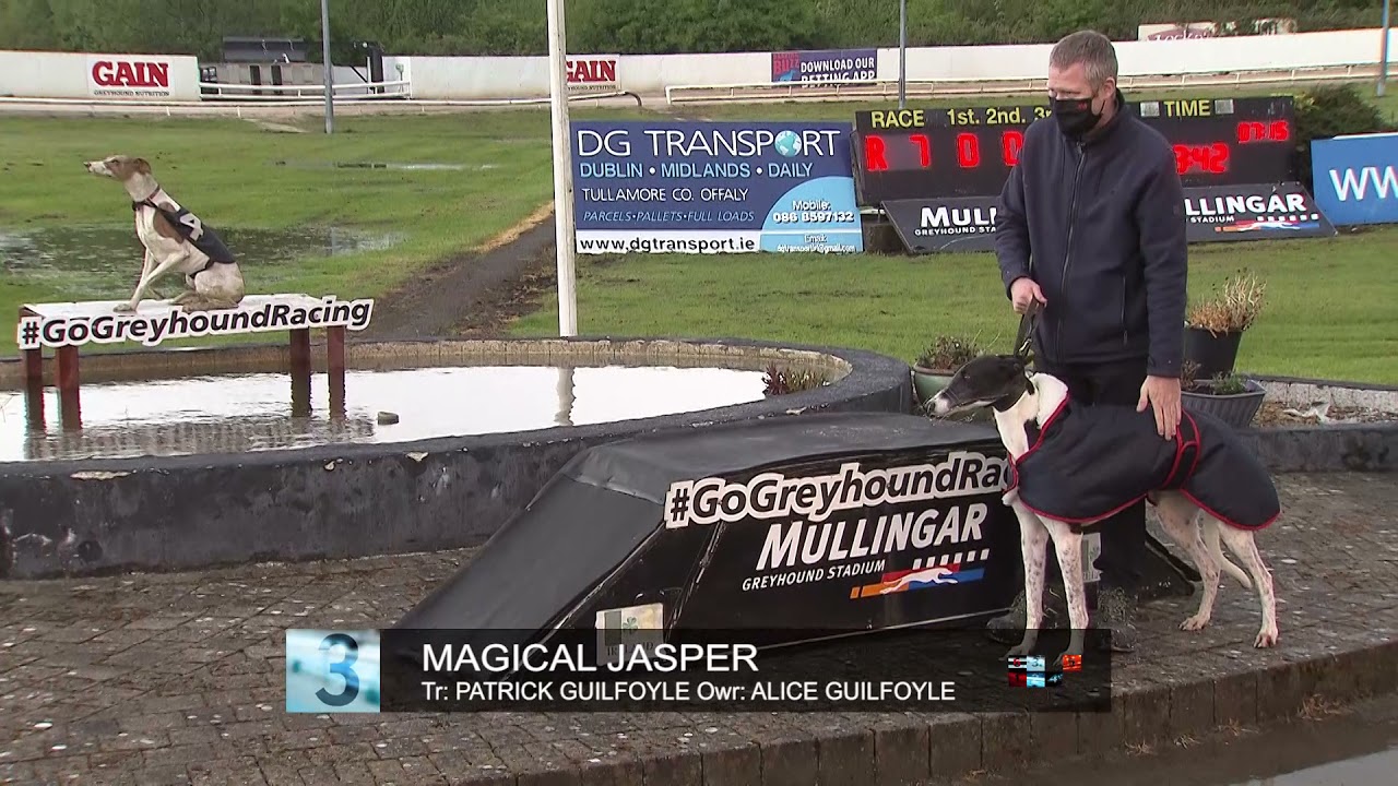 SIS Irish Cesarewitch Open 600 2021 Semi-Finals