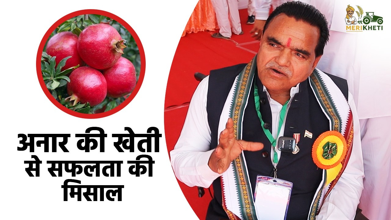 Award Winner किसान | अनार की खेती से बदली अपनी किस्मत और दूसरों का जीवन भी बनाया बेहतर 🍎🚜