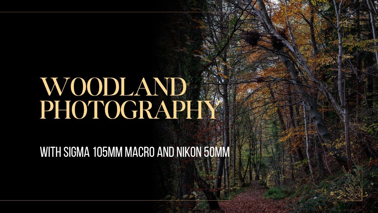 Northumberland Woodland Photography | DJI Osmo Pocket 2 + Sigma 105mm Macro + Nikon 50mm 1.8G