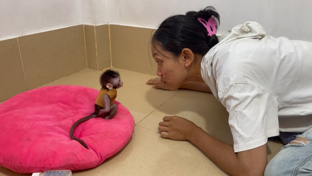 Uhhhh..!! Small BB mnkey asking mom for hlp from itchinq diaper