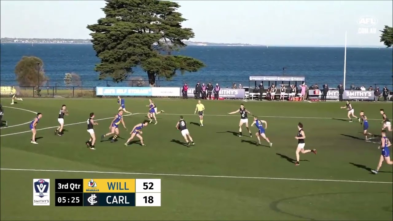 Jack Carroll - Highlights - VFL Round 19 - Williamstown vs Carlton