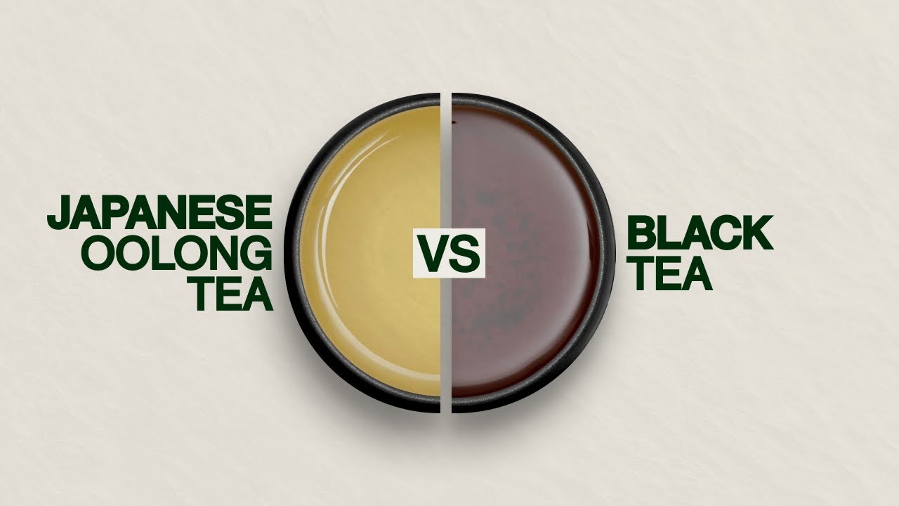 Exploring Japanese Black Tea and Japanese Oolong Tea