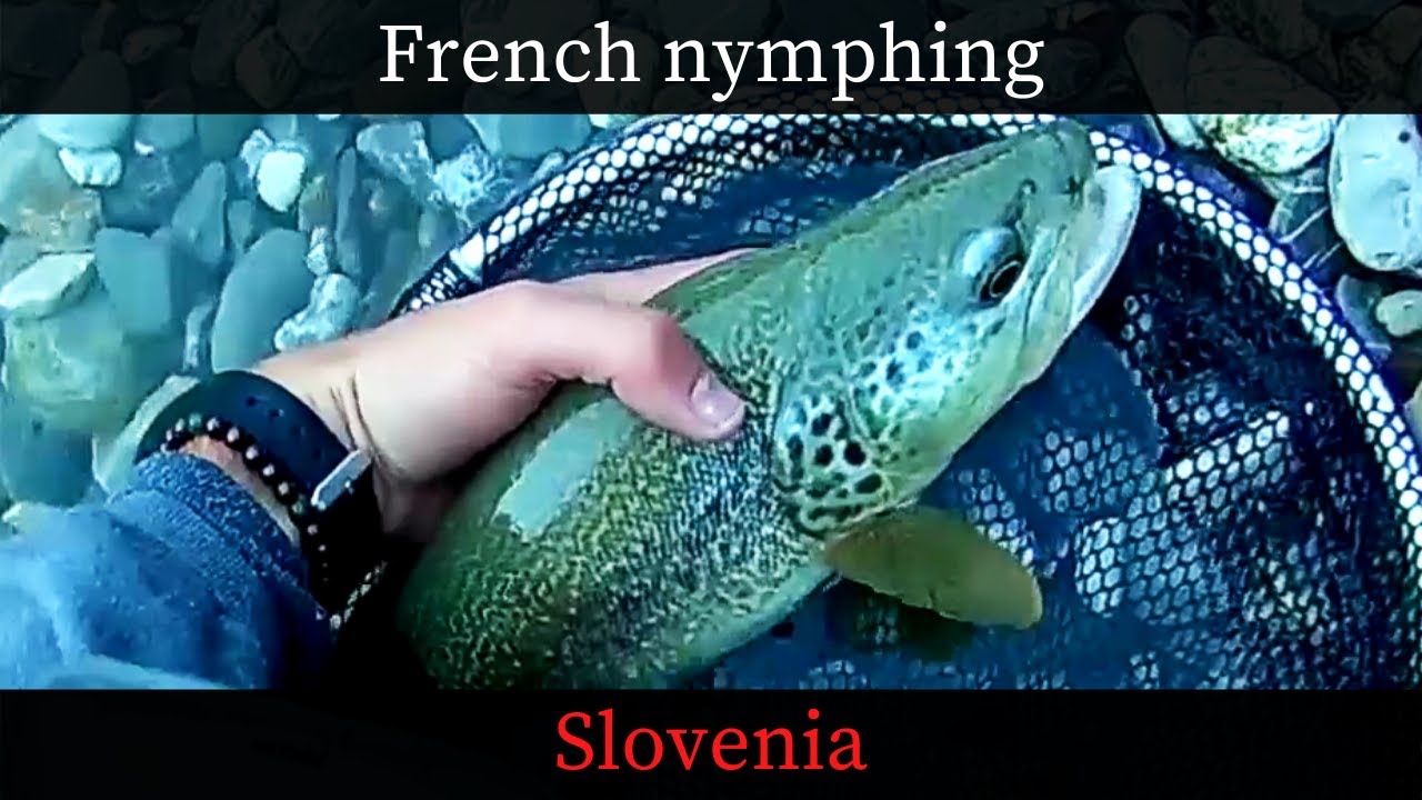 Nymphe au fil en Slovénie | French nymphing in Slovenia