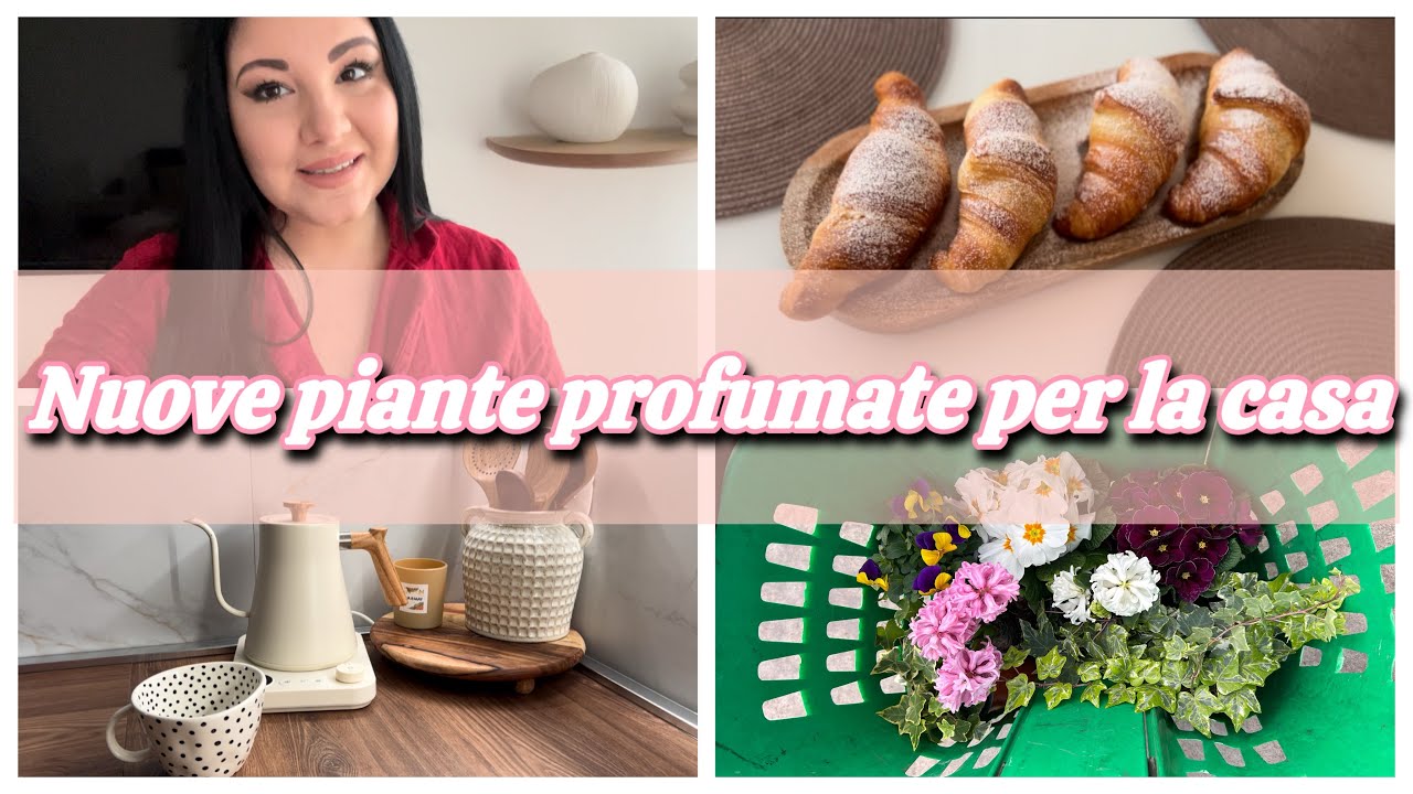 NUOVE PIANTE 🌷 Quotidianità 🏠🪴