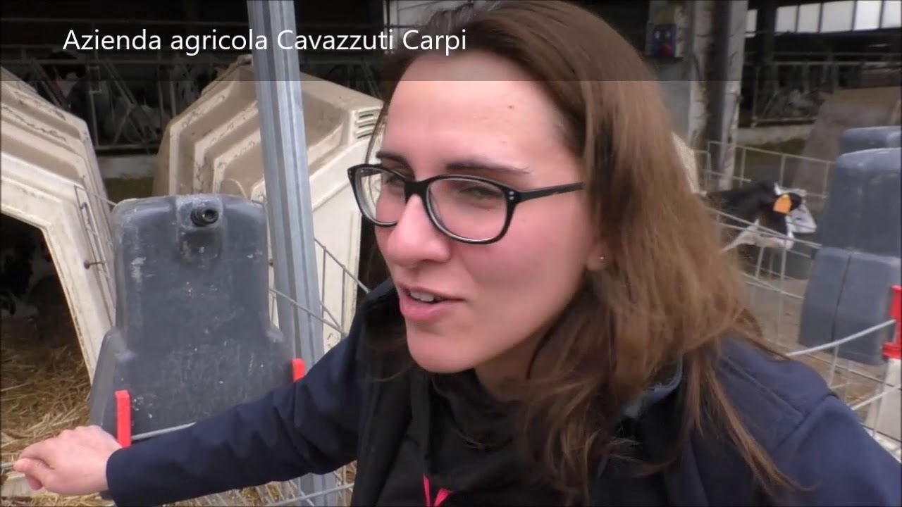 Azienda agricola Cavazzuti