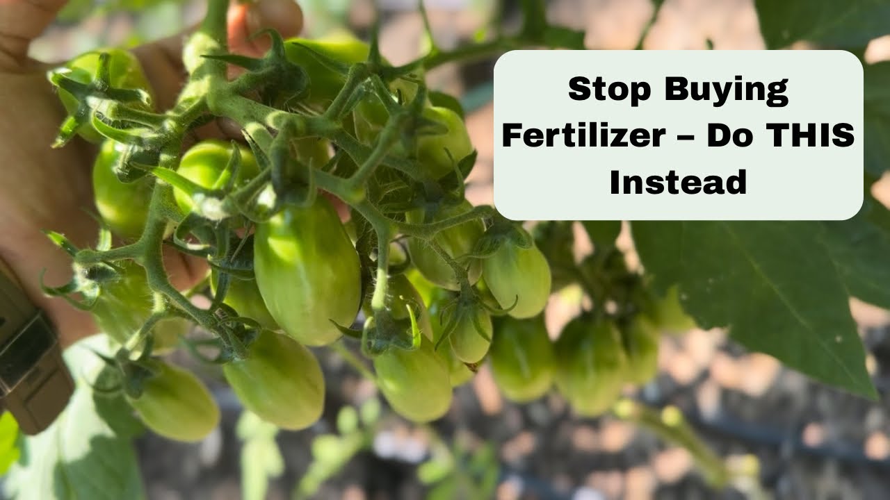 JADAM Liquid Fertilizer (JLF) &ndash; The Easiest, Cheapest Fertilizer You&rsquo;ll Ever Make