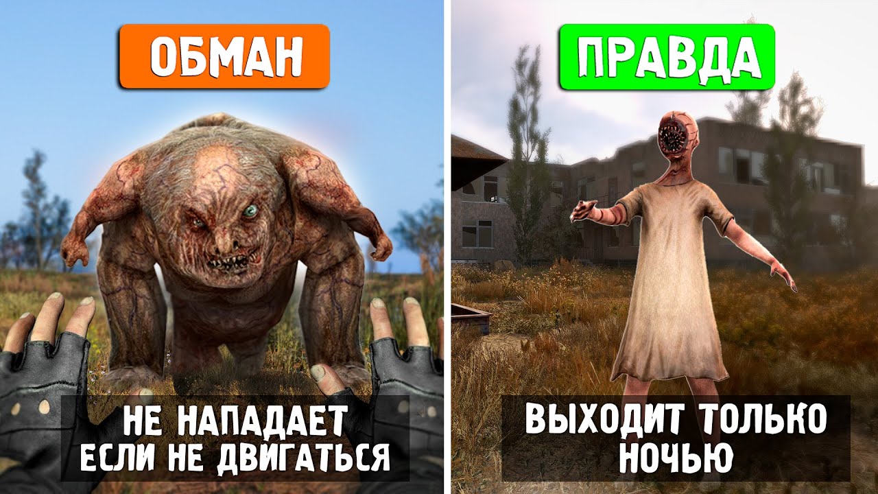 10 СУМАСШЕДШИХ МИФОВ из STALKER 2: Правда или Обман ?