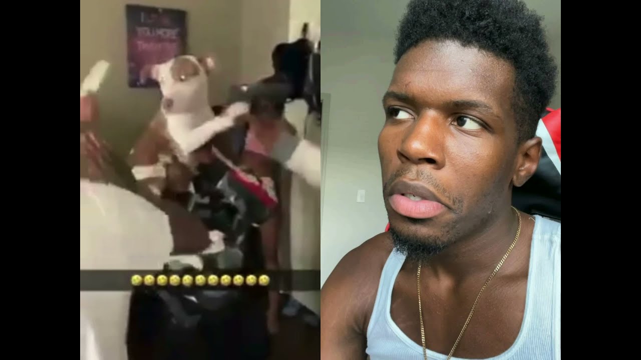 Disney Presents: Puppy With A Pistol 🐶🥴