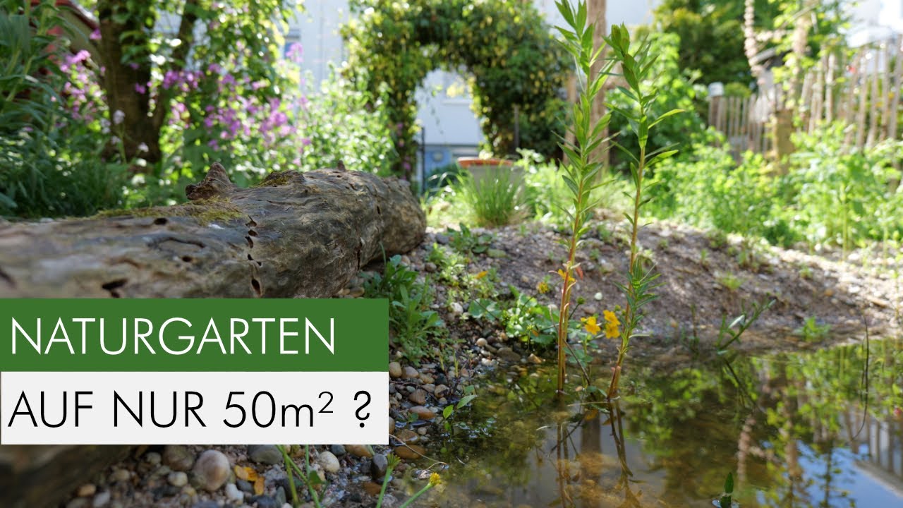 Update! So wurde aus 50 m² ein summendes Naturparadies in nur einem Jahr.