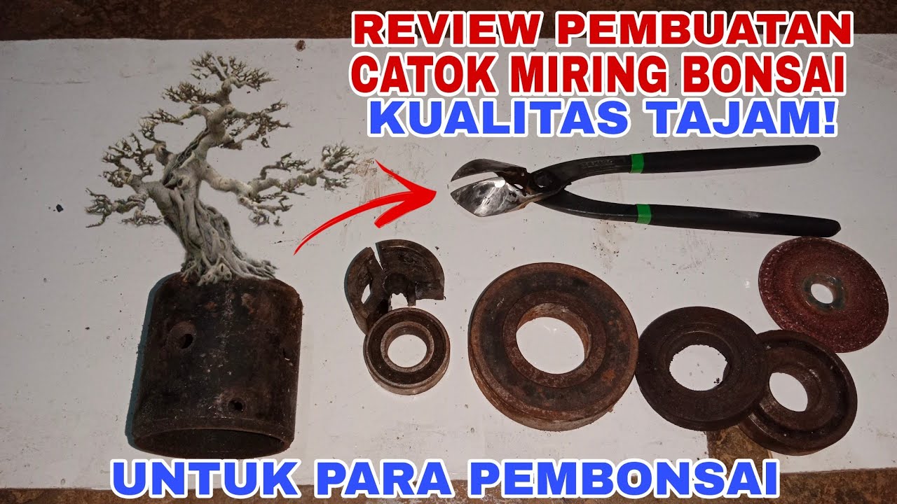 REVIEW PEMBUATAN CATOK  MIRING UNTUK BONSAI, PESANAN PARA PEMBONSAI #trending #bonsai