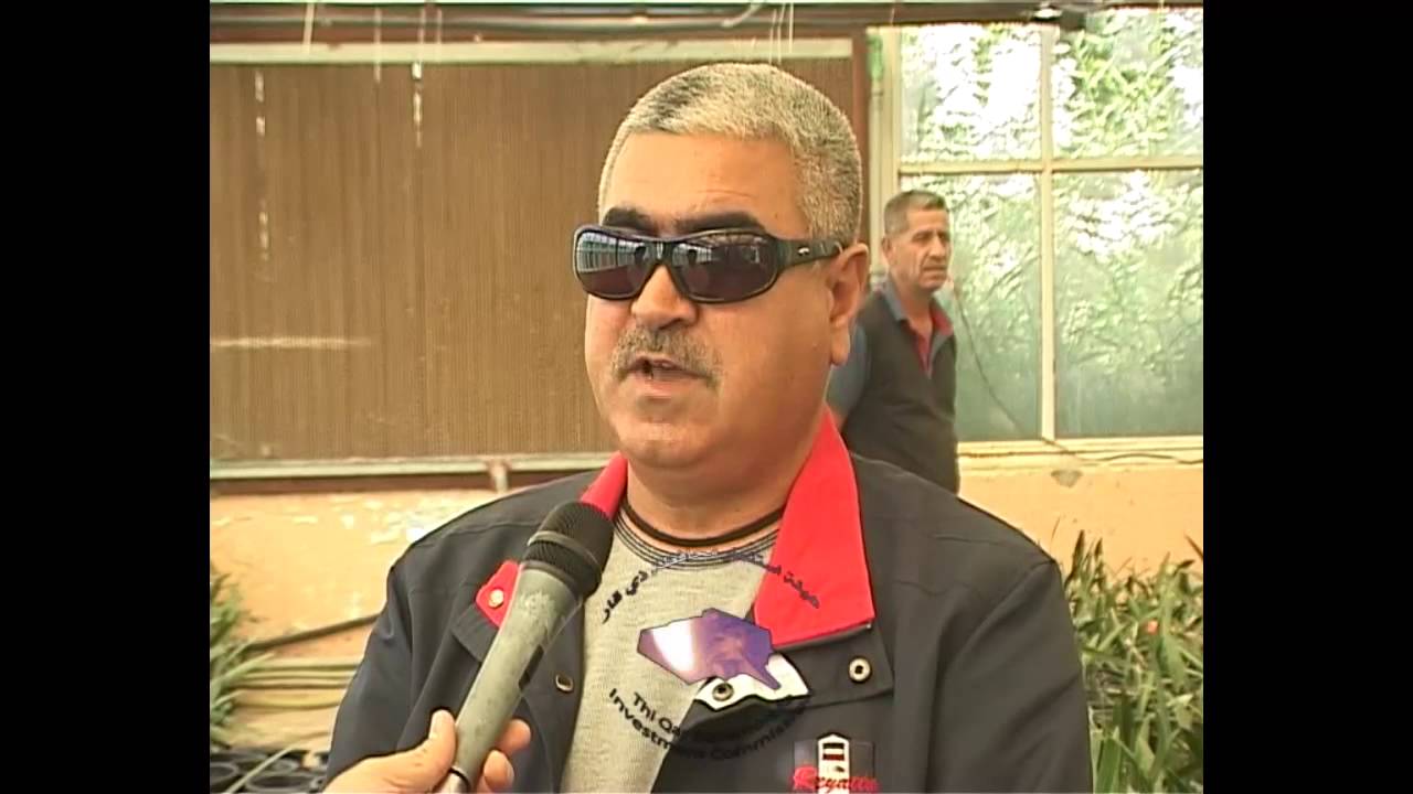 الاستثمار زراعة النخيل النسيجية