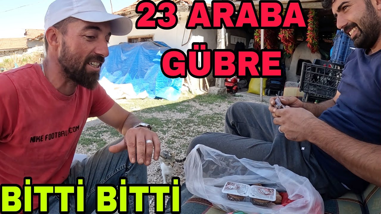 BİTTİ !! 4 DEKAR TARLAYA 20 ARABA GÜBRE ÇEKTİK~BU TAKTİĞE İŞ DAYANMAZ