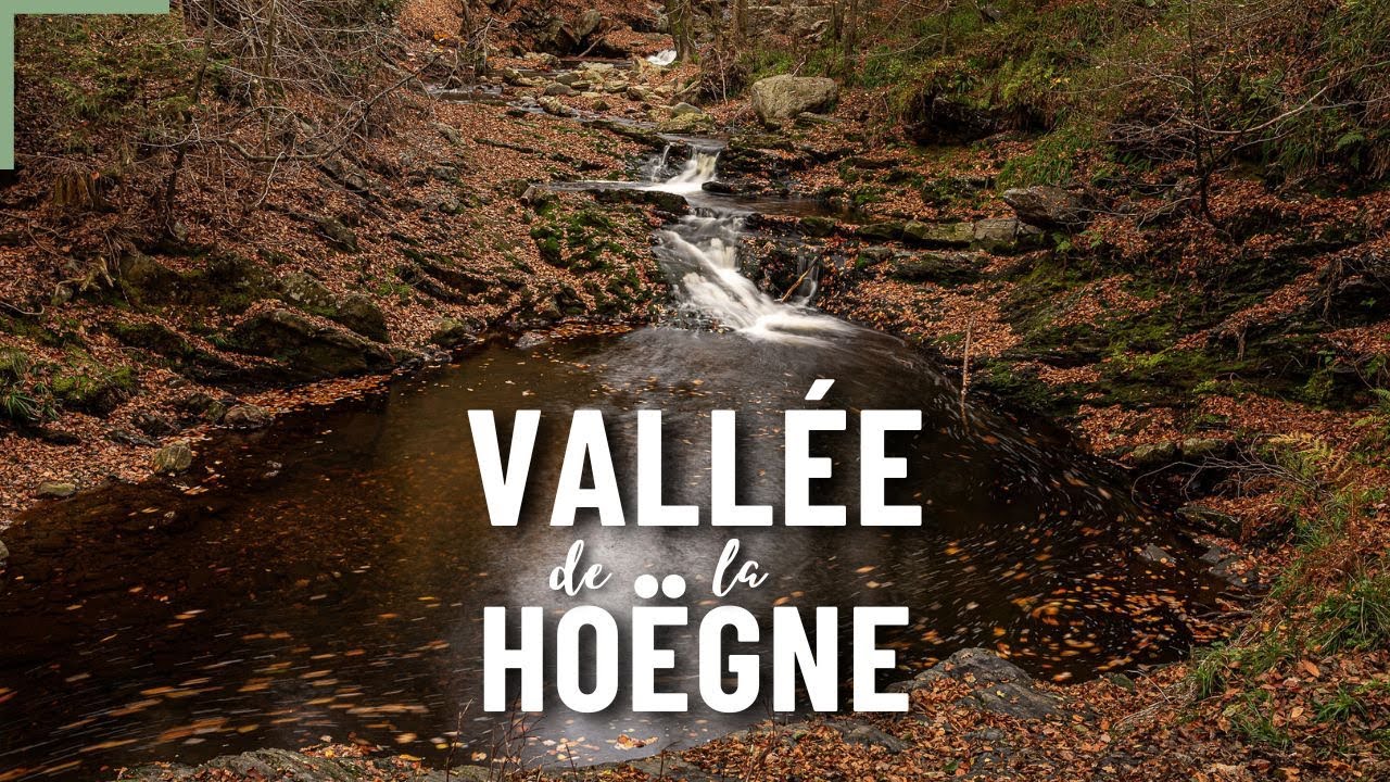 most BEAUTIFUL HIKE in BELGIUM? | Fall landscape photography vlog