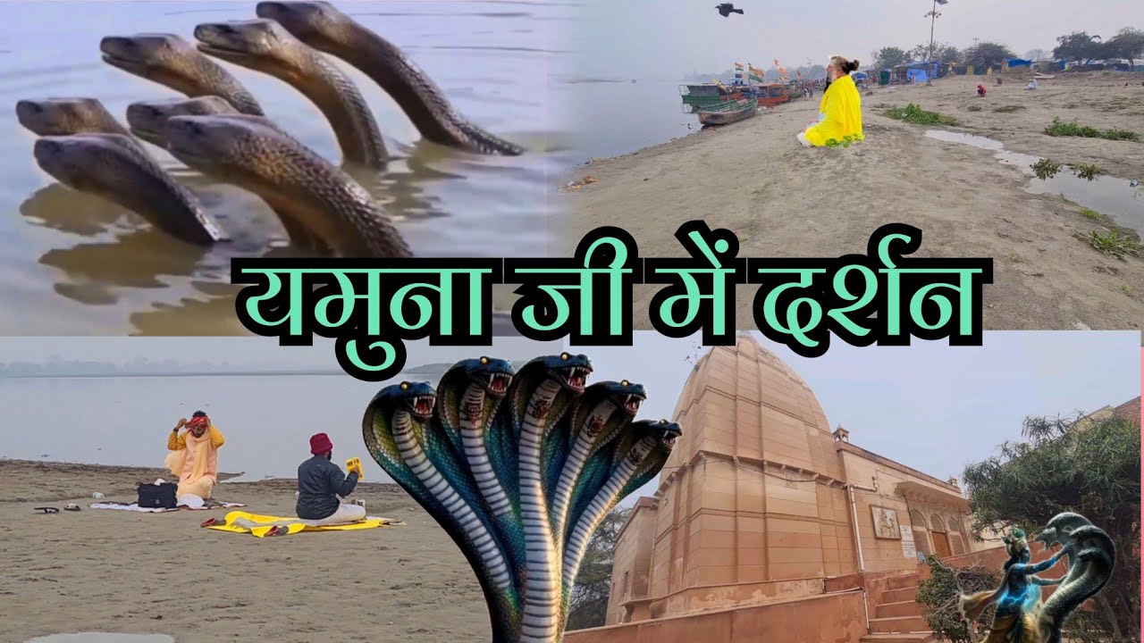 🐍 वृंदावन में #आया कालिया नाग# जमुना जी में #क्या है# सच्चाई बताते हैं#Rakesh Vrindavan
