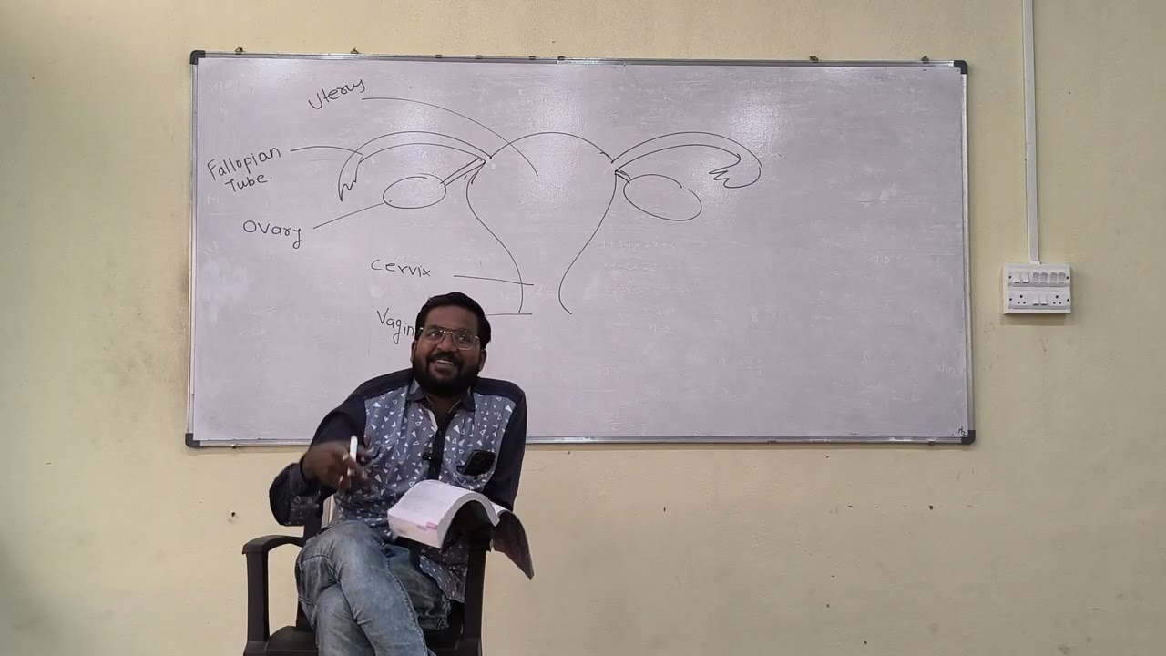 12 th chapter Human Reproduction lecture 3rd