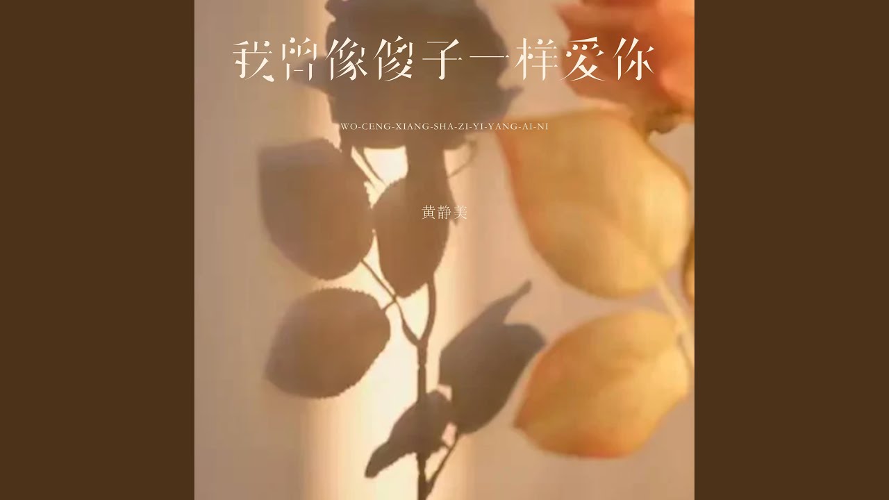我曾像傻子一样爱你