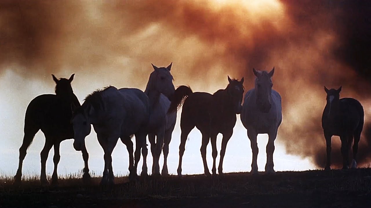 Days Of Heaven (1978) | Terrence Malick | 4K Edit | Music Video