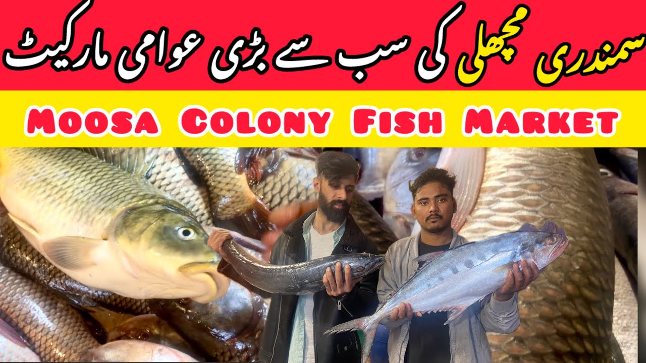 Cheapest Fresh Biggest Wholesale Fish Market | Moosa Colony Fish Market Karachi | Savor and Seek