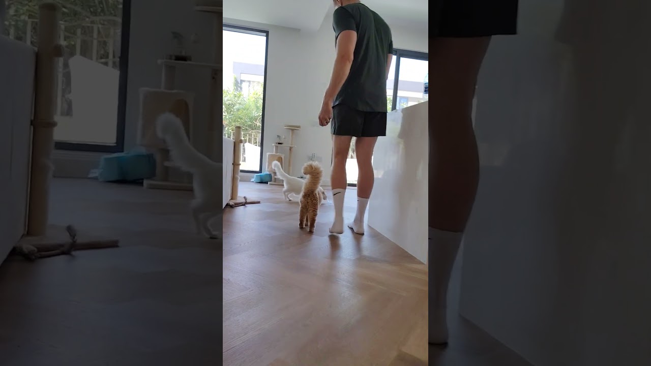 LEO ALWAYS FOLLOW HIS DAD, AFRAID TO LEAVE HIM