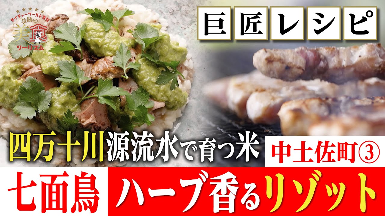 【巨匠レシピ🍳】ハーブ香る七面鳥リゾットにアレンジ「ぬた」ソース・中土佐町③｜奇跡の美食ツーリズム #高知 #高知グルメ #高知旅行
