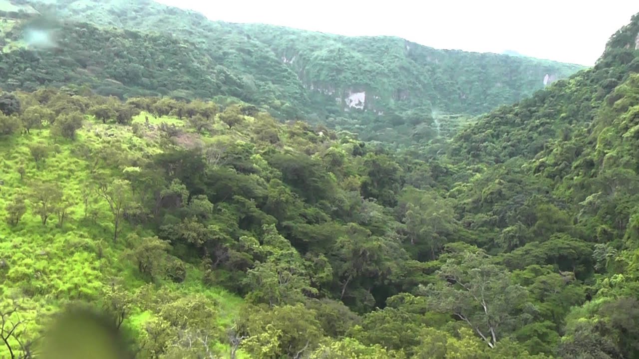 CAZATRENES (Barranca de Atenquique).