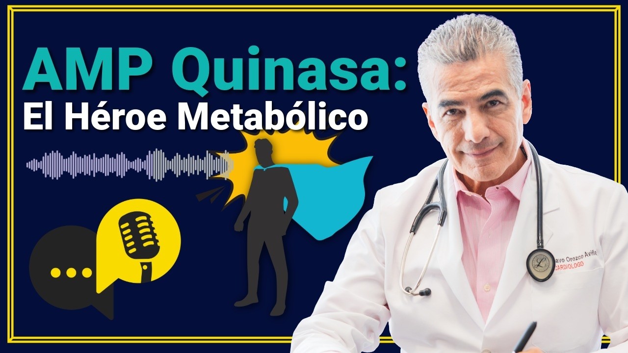 #017 Balance MTOR vs. AMP Quinasa: Biogénesis Mitocondrial y Ayuno Intermitente