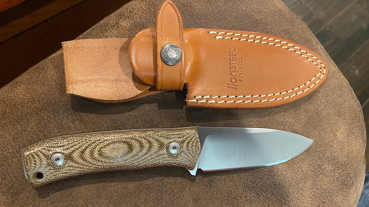 Lionsteel M4 3.75” M390. Knife Review