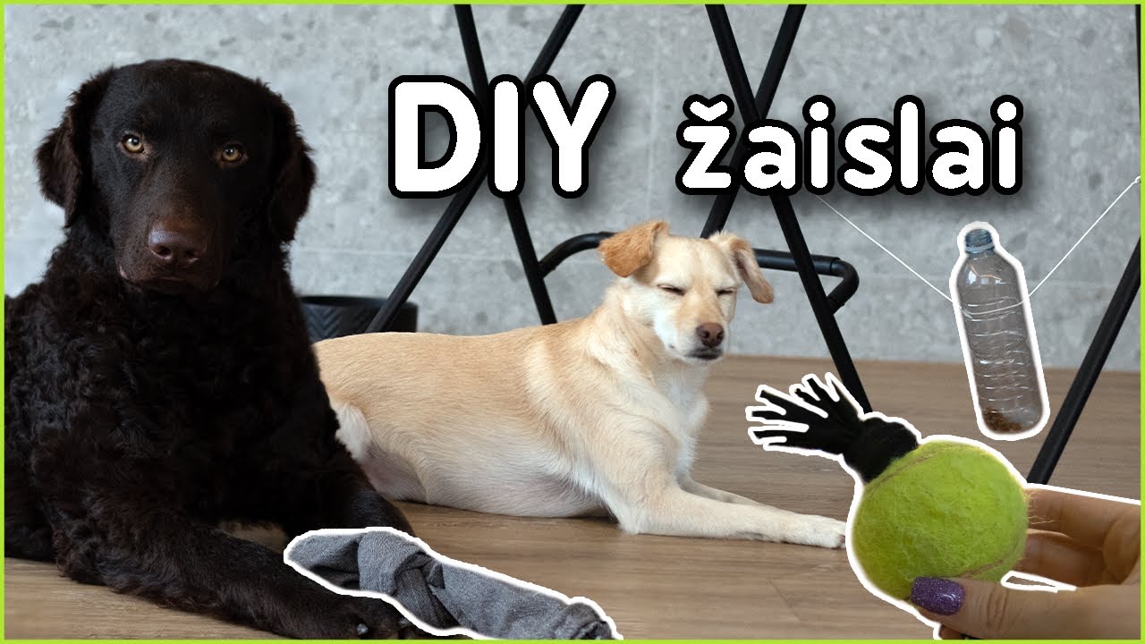 DIY ŽAISLAI | Gretasweet | Pildyk