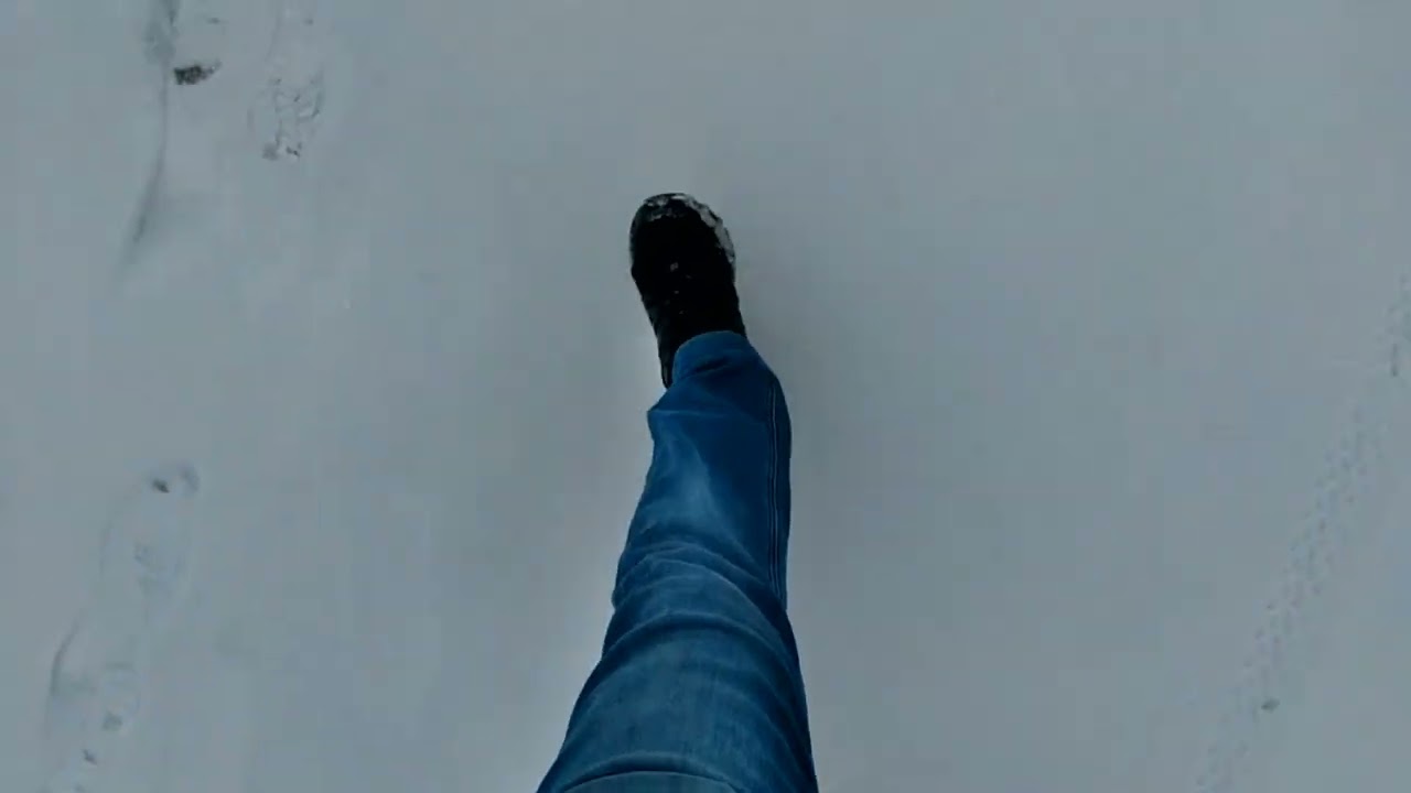 СКУЛЕНИЕ РСП