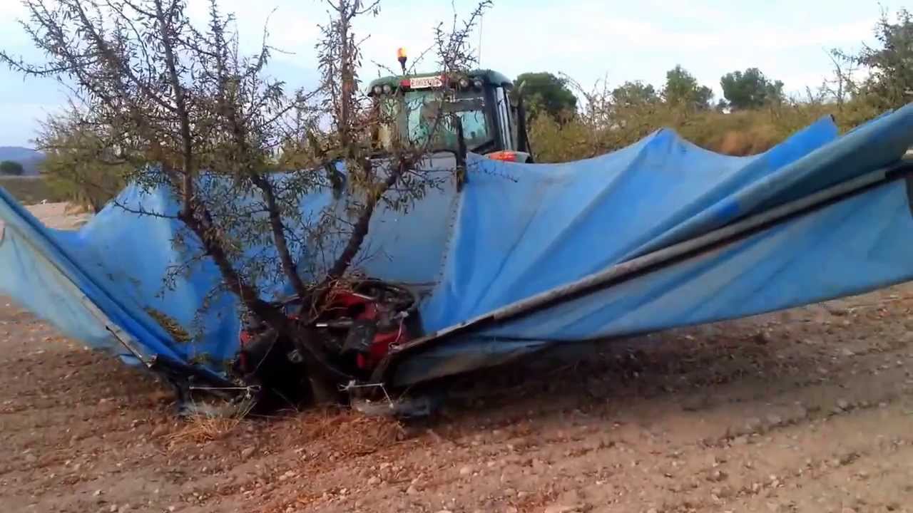 John deere y case cogiendo almendra con topavi