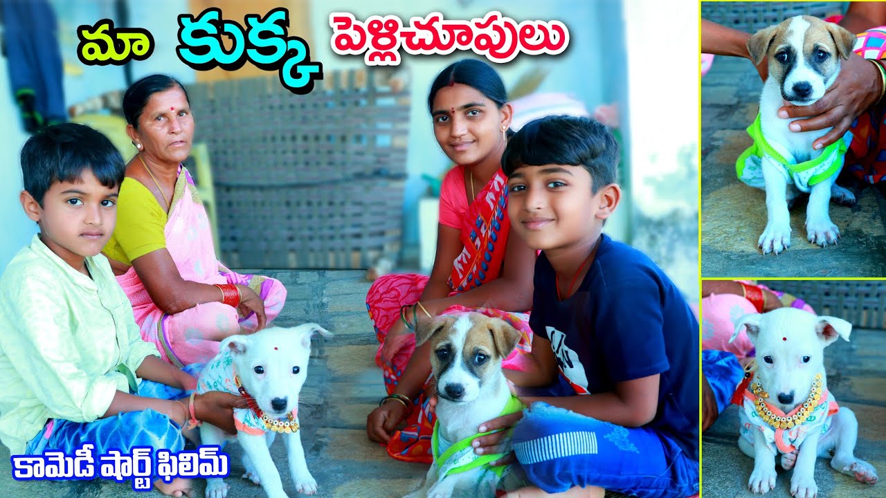 మా కుక్క పెళ్లిచూపులు || ma kukka pelli chupulu || manu videos village comedy || telugu letest all