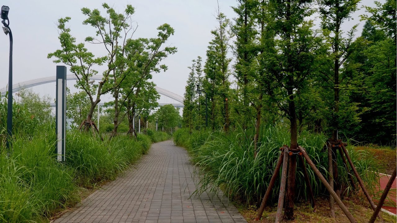 4K China，Shanghai Walk，Houtan garden&shibo park，pudong，黄浦江边上的后滩公园和世博公园