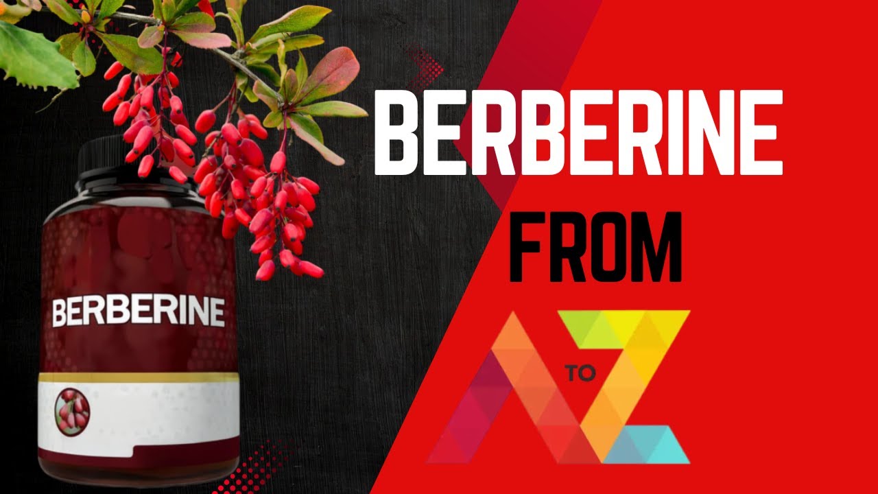 Berberine | Best time to use | Contraindications | How to choose a good product