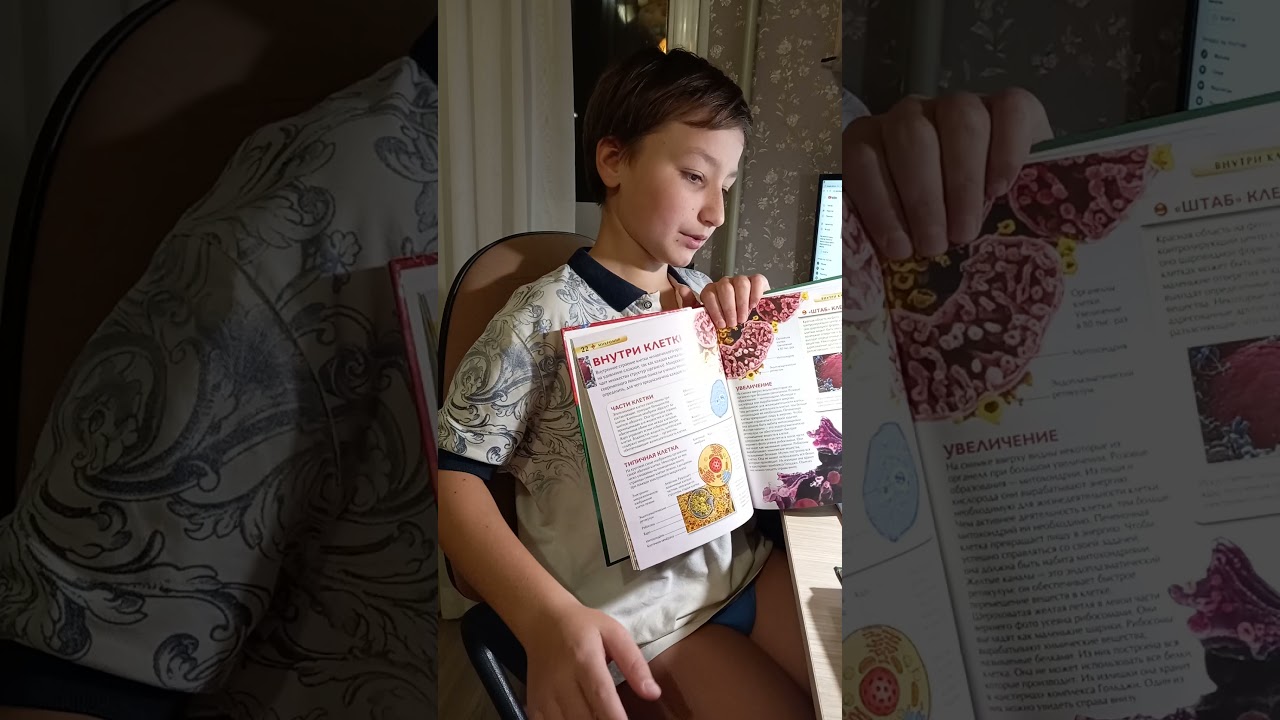 Цитоплазма и генетический аппарат