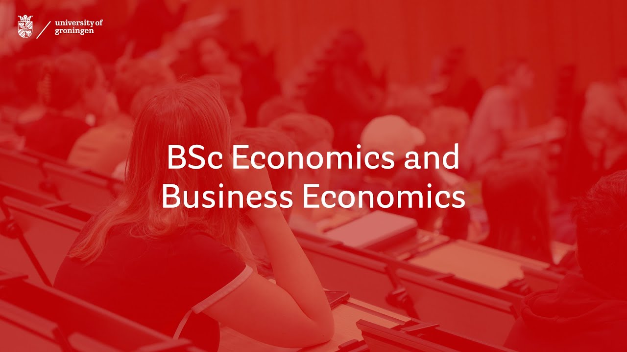 BSc Economics and Business Economics