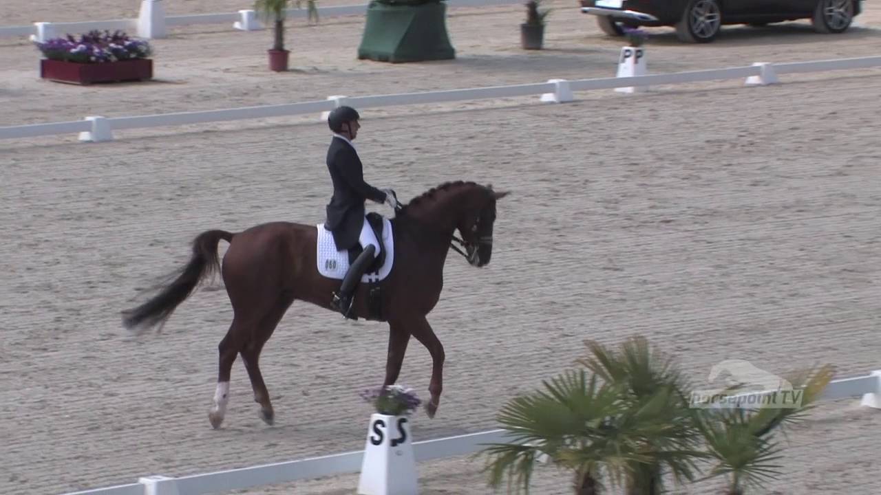 BELCANTO 34 Przemyslaw Kozanowski POL CDI3 Lamprechtshausen 2016