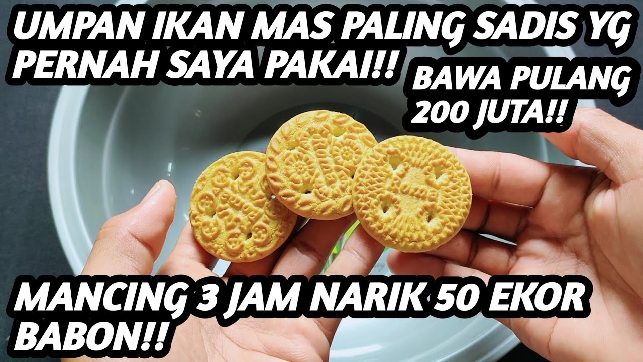 200 Juta saya bawa pulang dengan umpan ini‼️