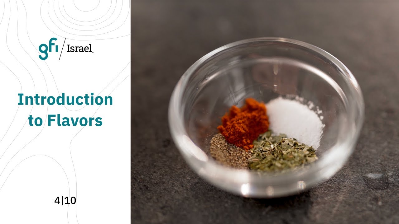 Introduction to flavors &ndash; Understand the role of flavor systems in plant-based meat