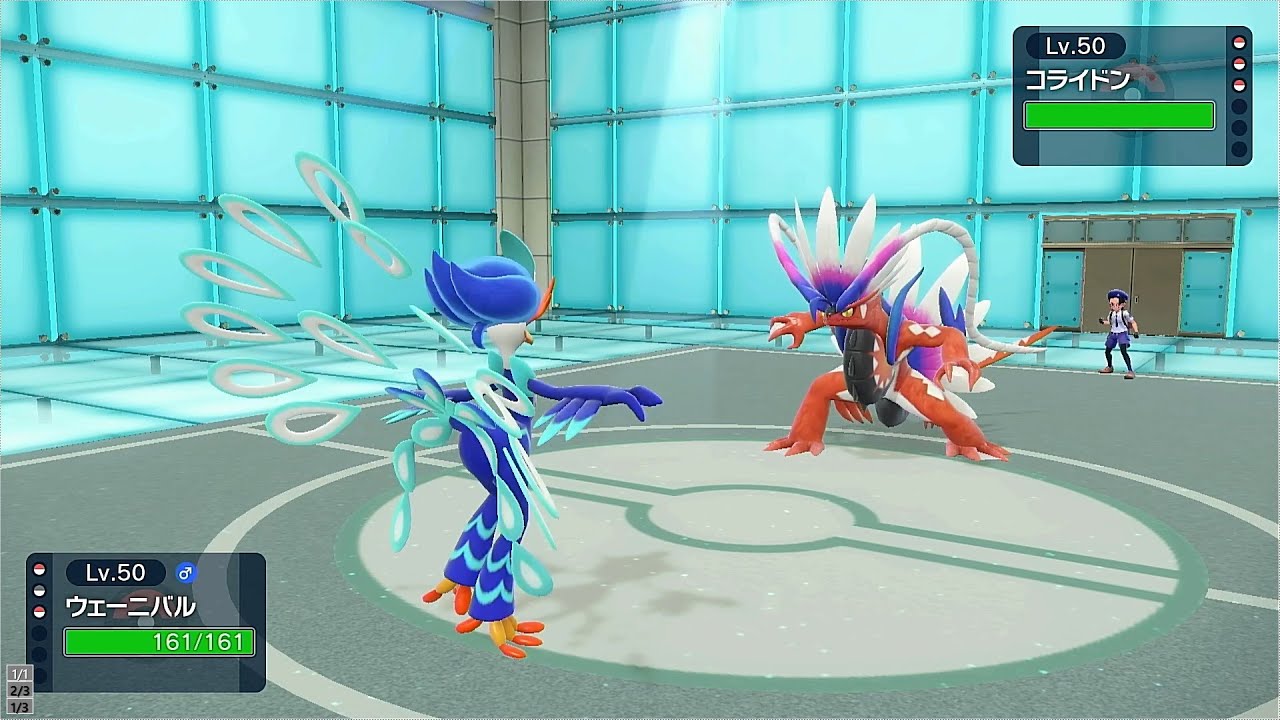 ウェーニバル、コライドンをしばきたおす・・・　ポケモンsv