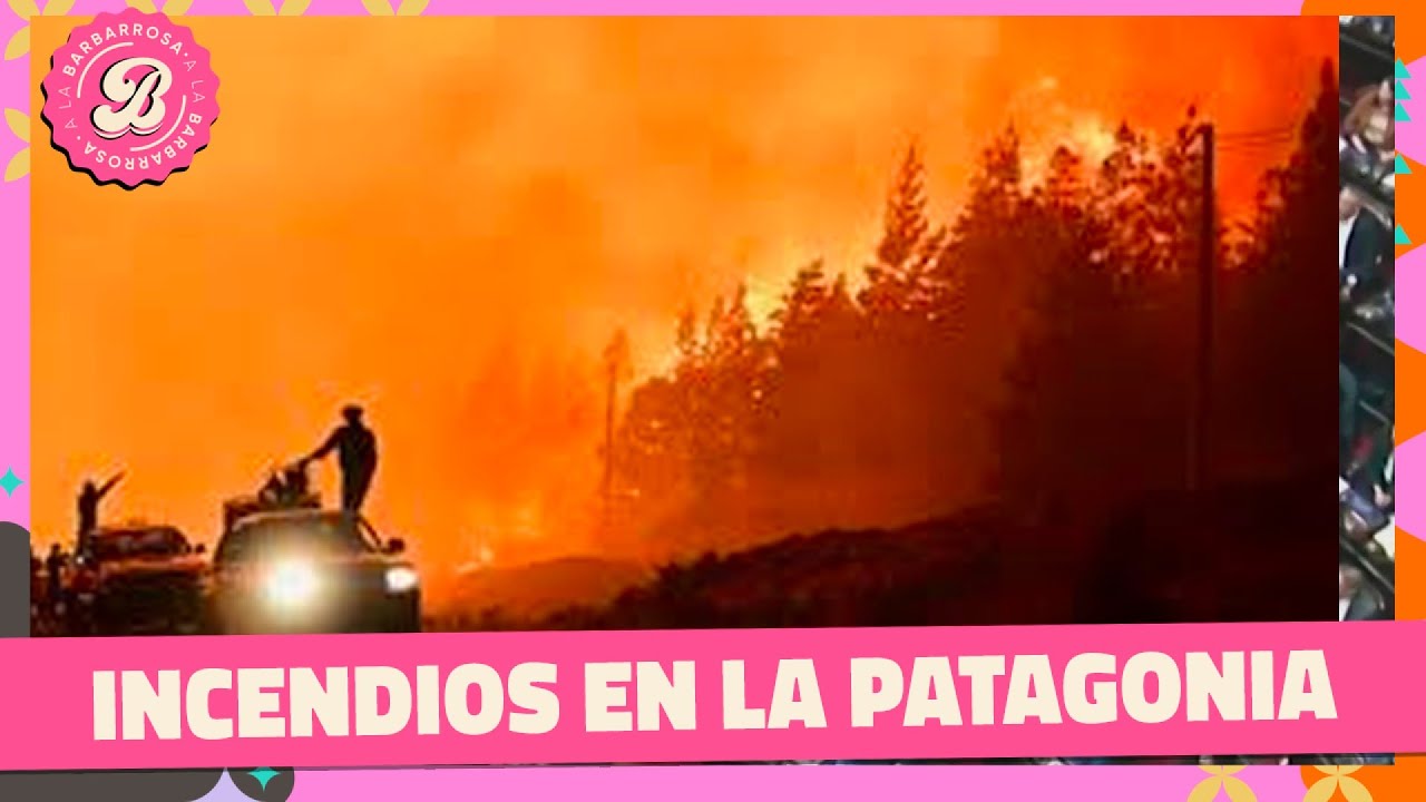 Incendios en la Patagonia: Reclaman que se declare la emergencia ígnea
