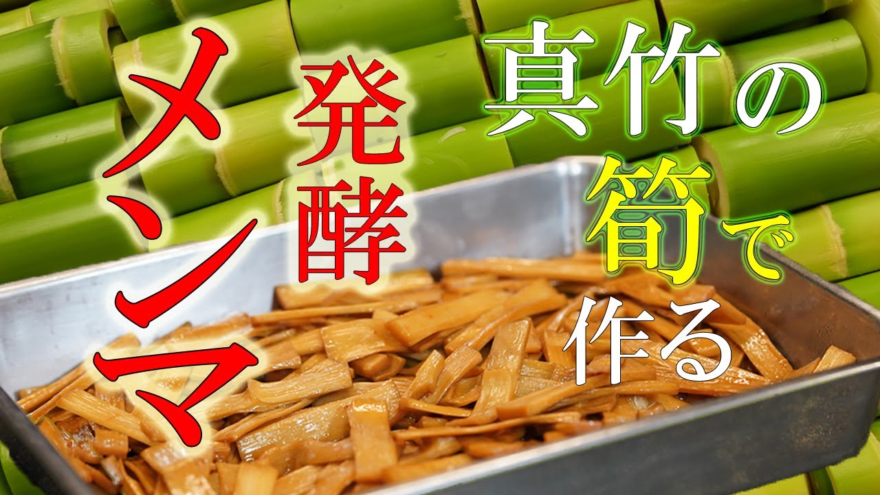 知っていますか？【メンマ】は発酵食品！！「塩漬け」「発酵」「乾燥」から生まれる本物の味と食感　【発酵メンマの作り方】