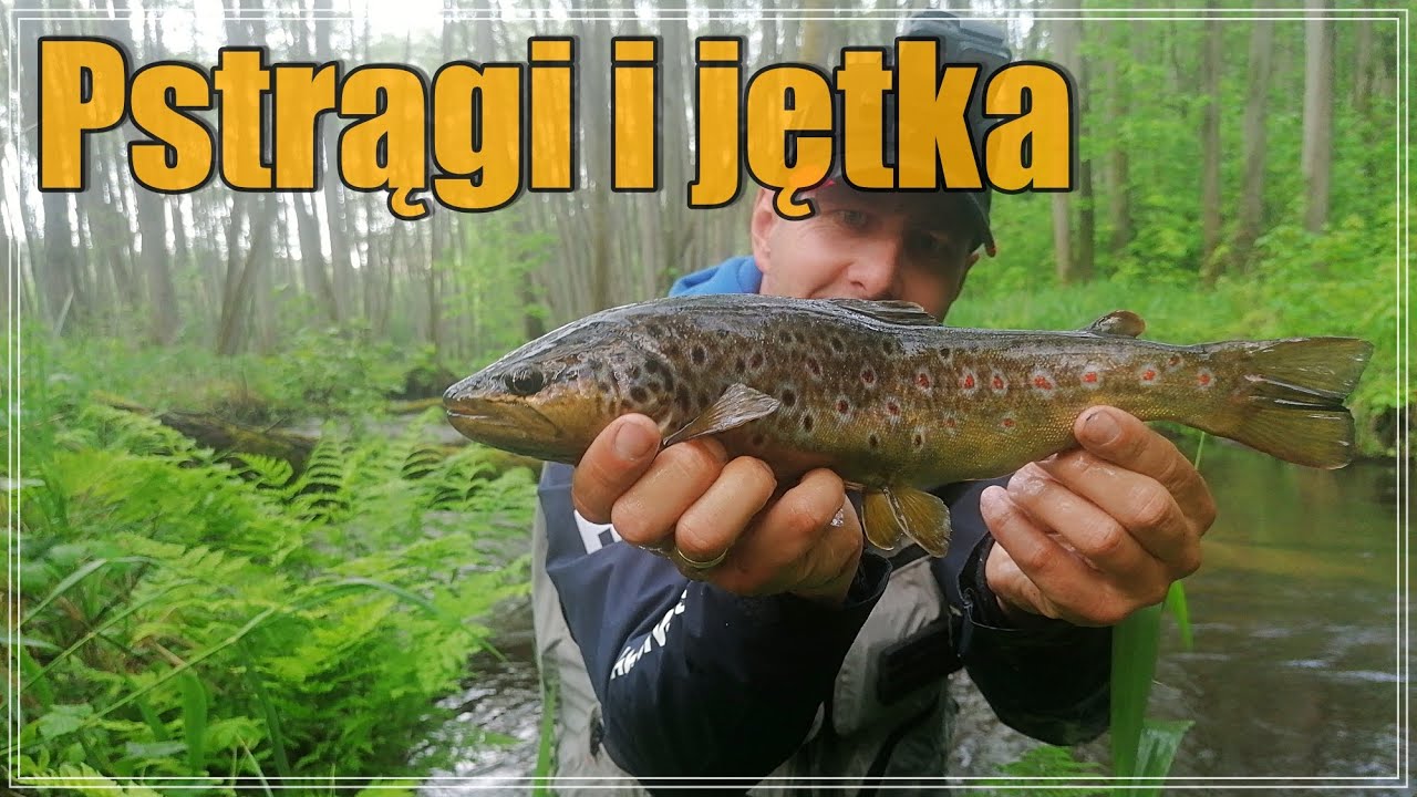 PSTRĄGI W MAJU NA MUCHĘ / JĘTKA MAJOWA | wędkarstwo #30
