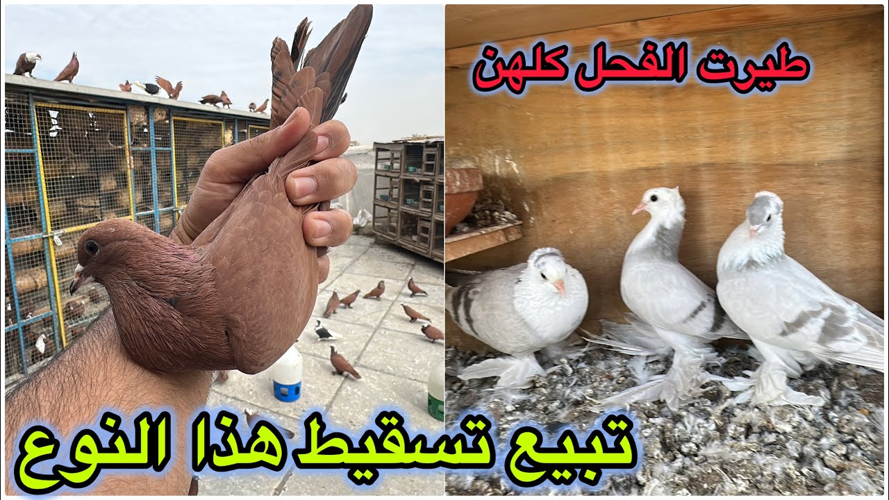 تم ال 😭😭😭😭😭