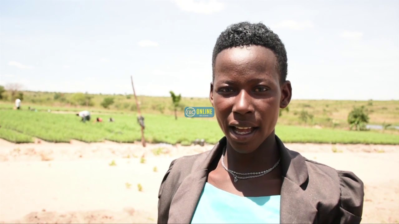 Shamba la Miti labadilisha Maisha ya Wakazi wa Chato