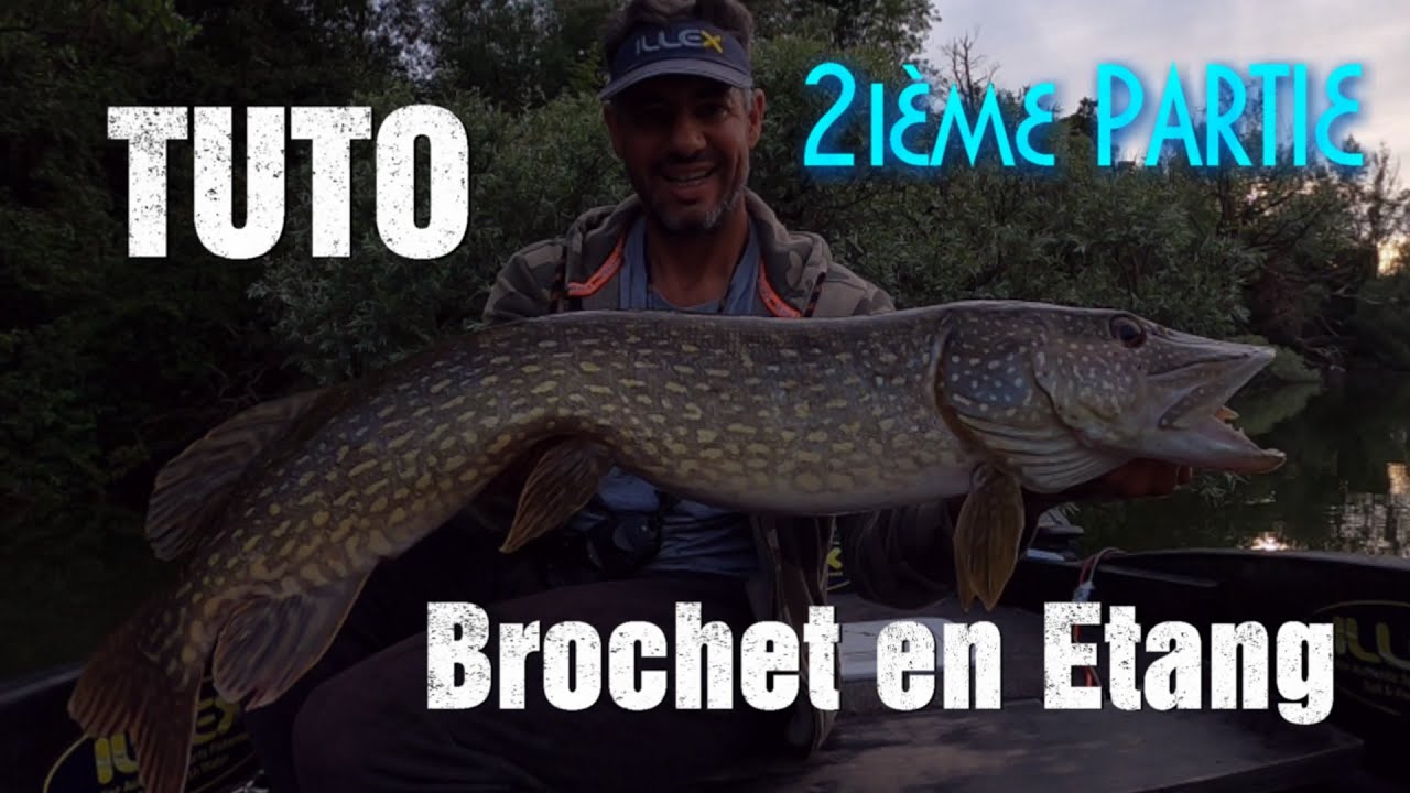 TUTO: Brochet en Etang 2ième Partie : L'été