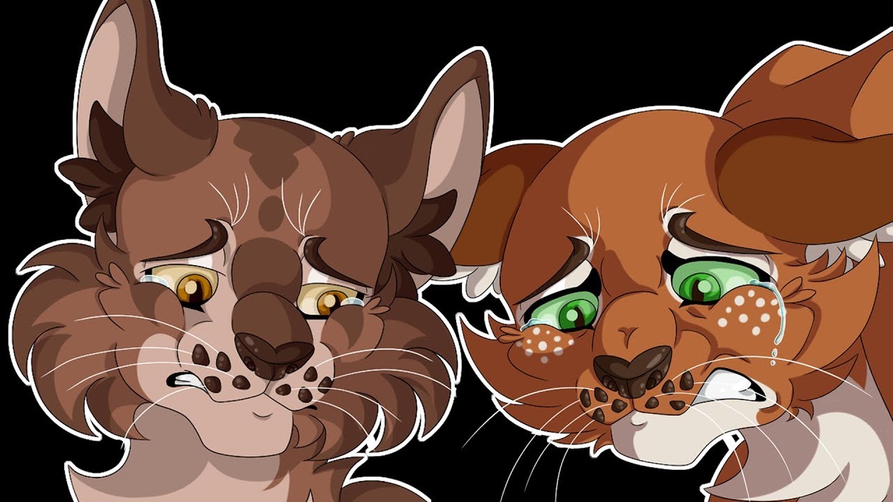 The Warrior Code means NOTHING | Warrior Cats Theory